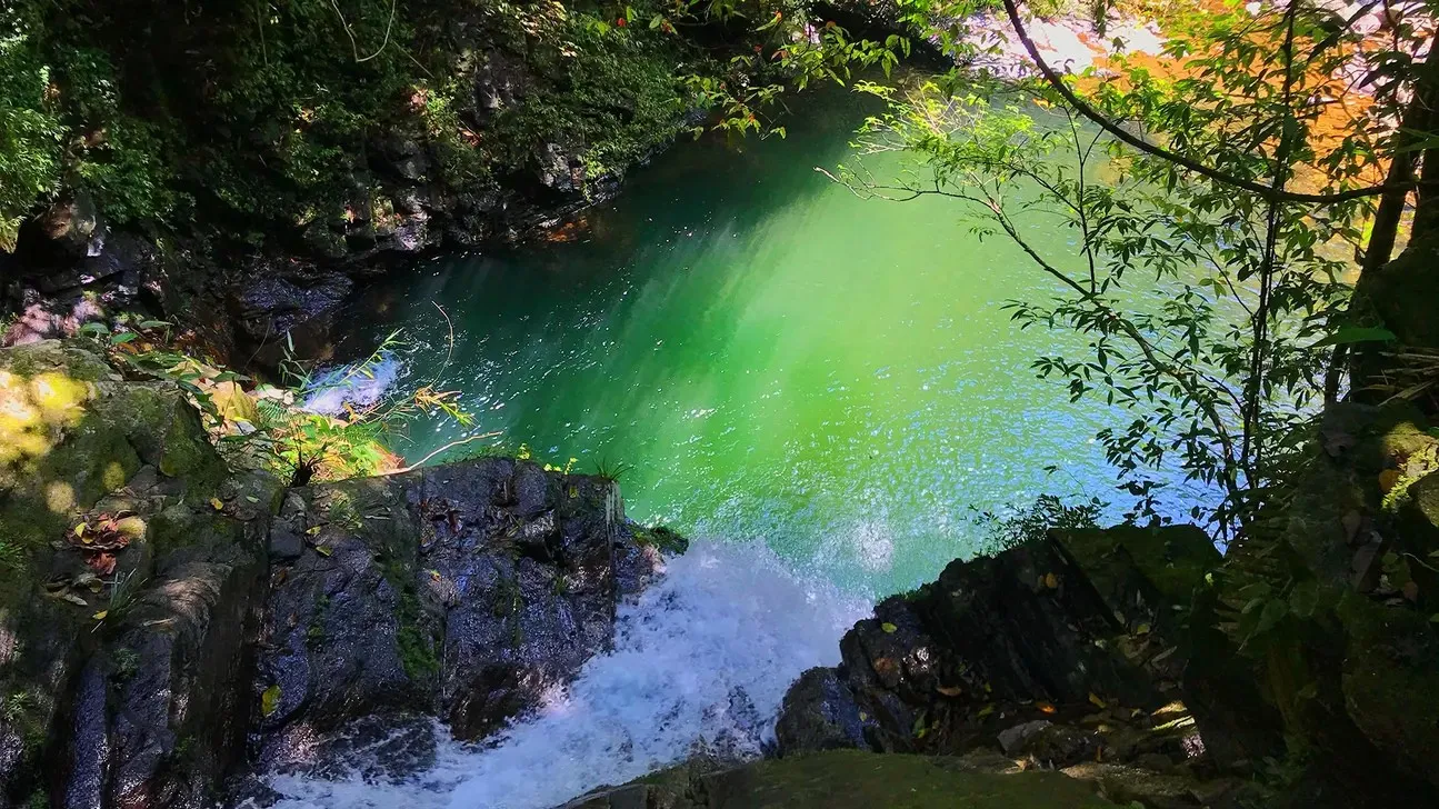 Day Tour | Bach Ma National Park Trekking Experience (Departs from Hue/Da Nang)
